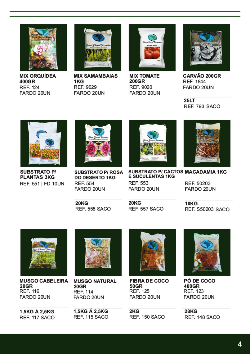 TERRA BRASIL - Página 4.png