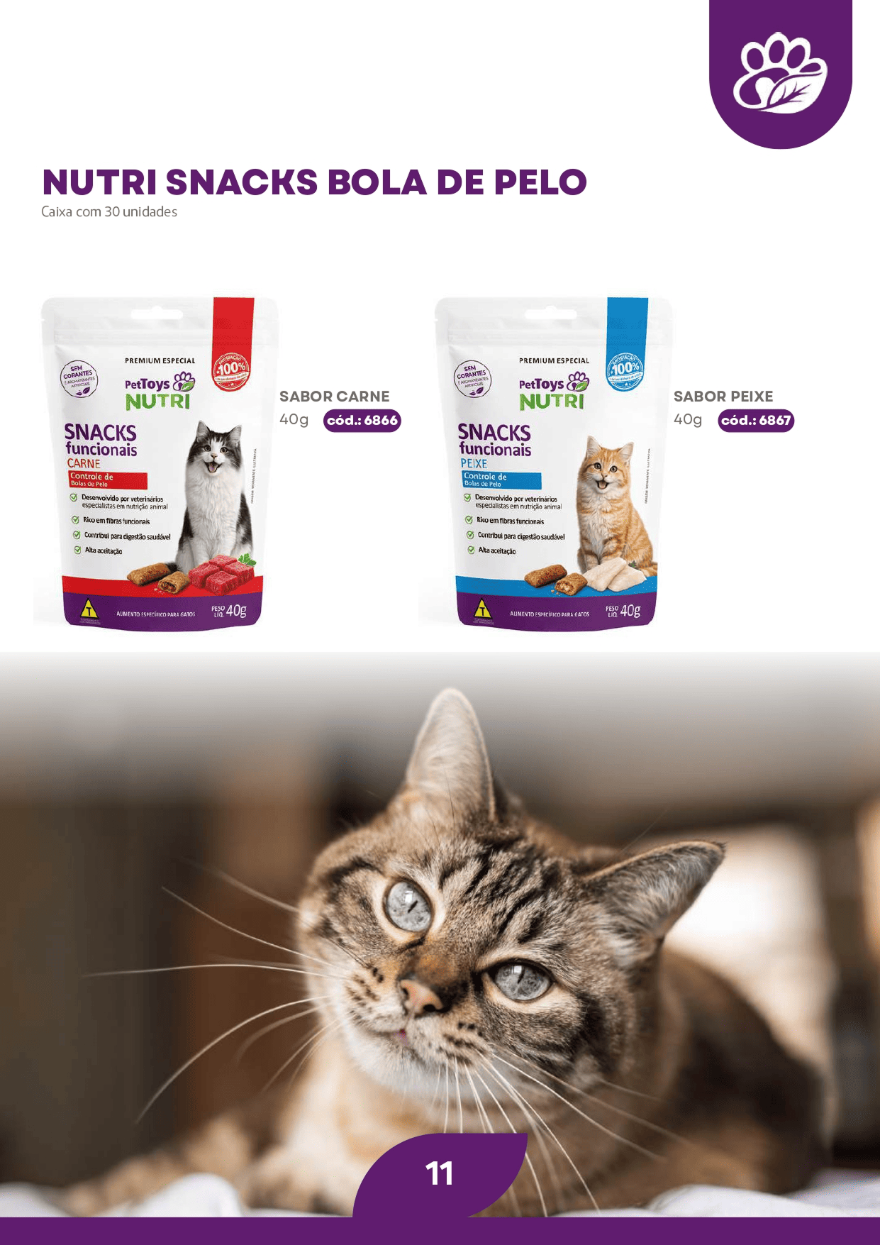 PET TOYS Página 11.png