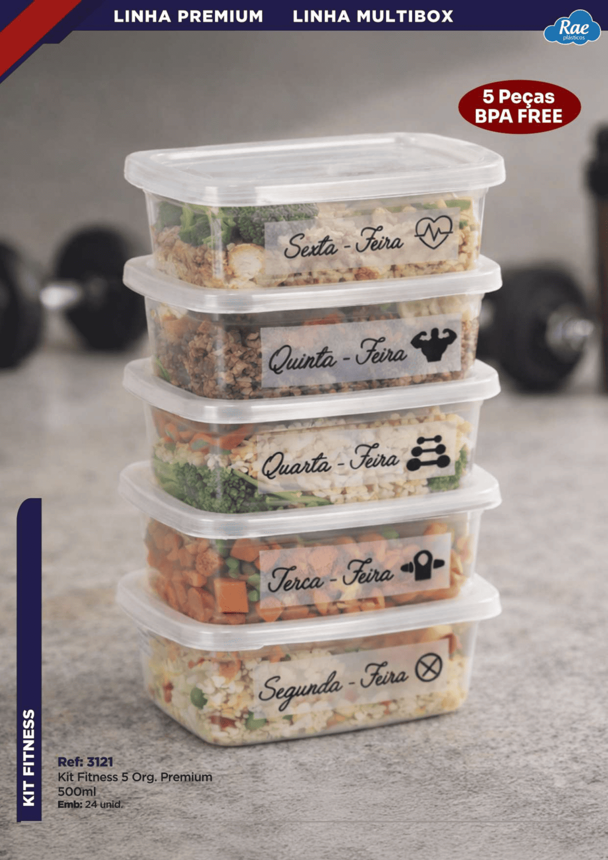 RAE PLÁSTICOS - PÁGINA 8.png