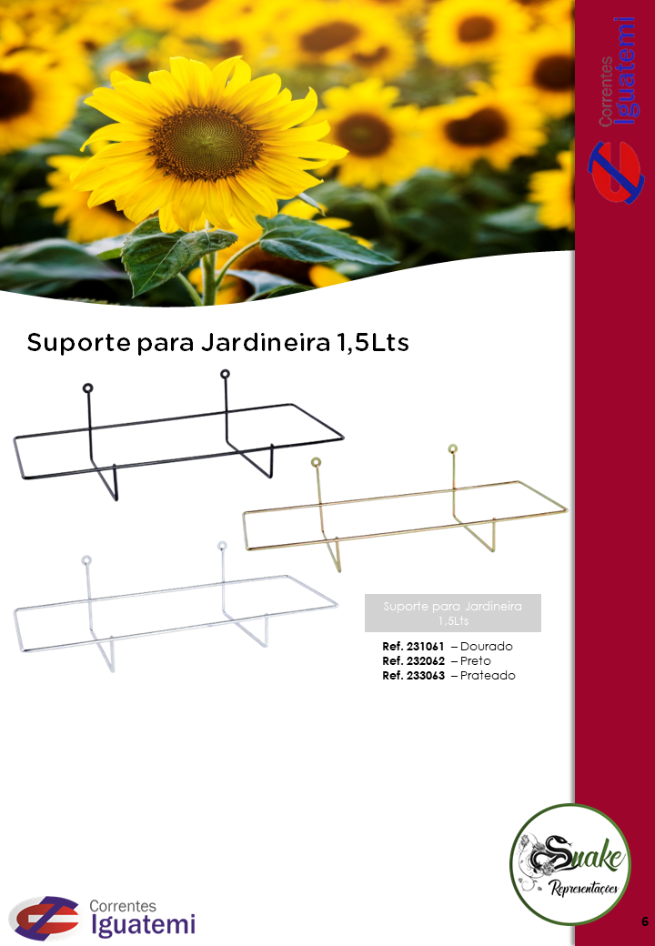 IGUATEMI - Página 6.PNG