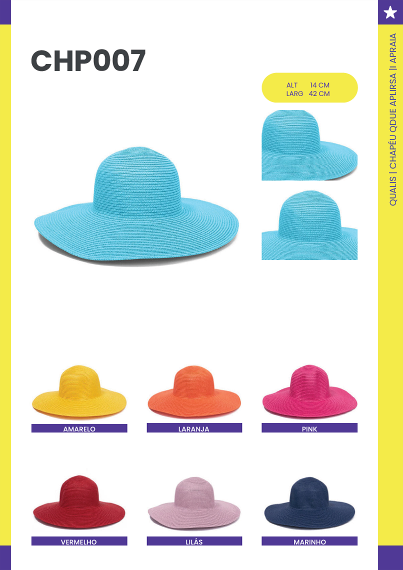 QUALIS - Página 12.png