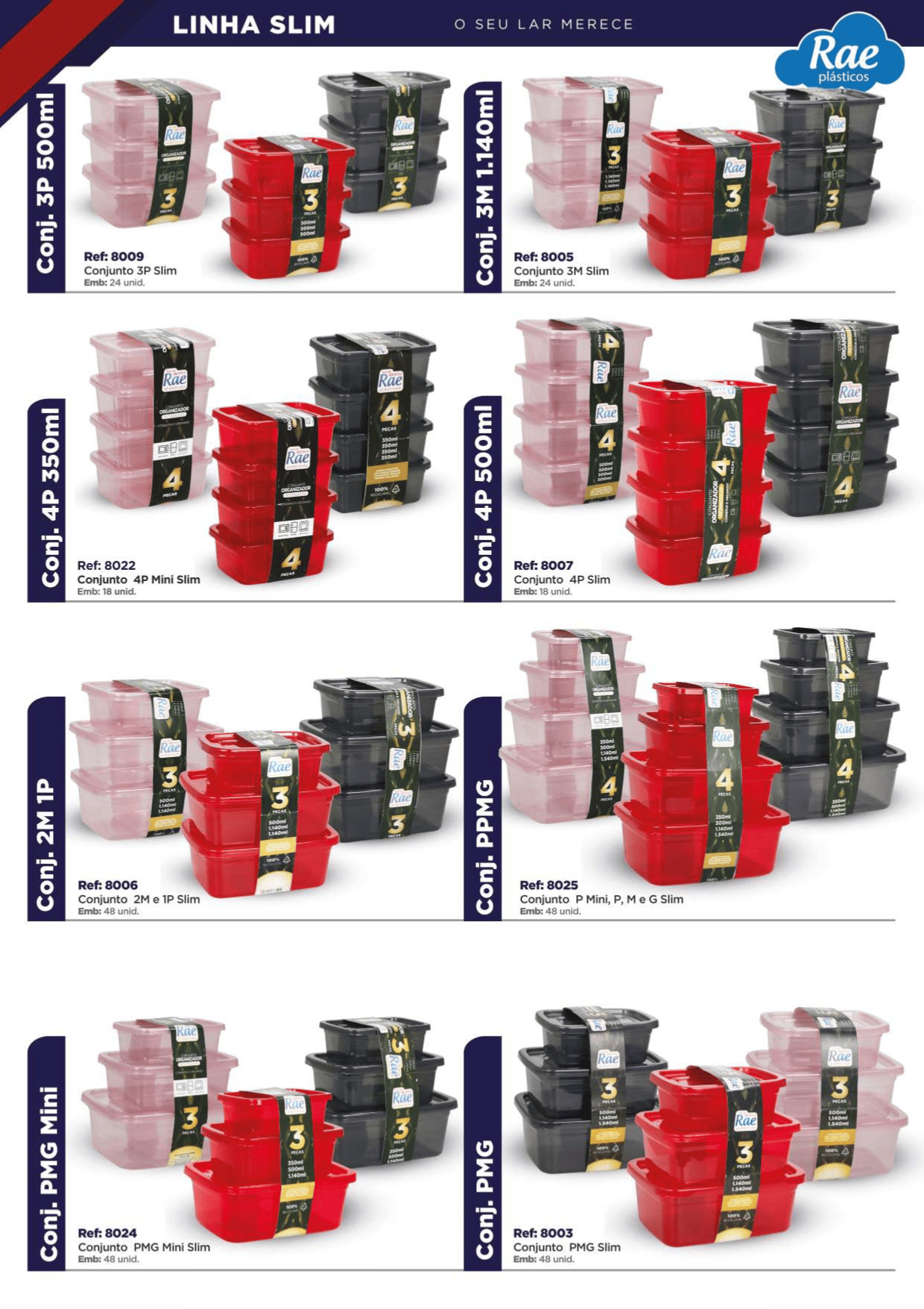 RAE PLÁSTICOS - PÁGINA 10.png