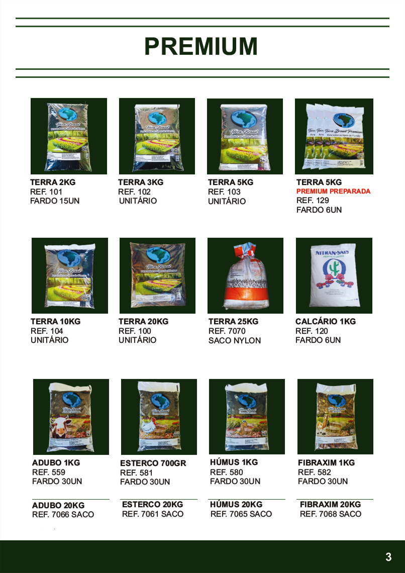 Terra Brasil - Página 3.png