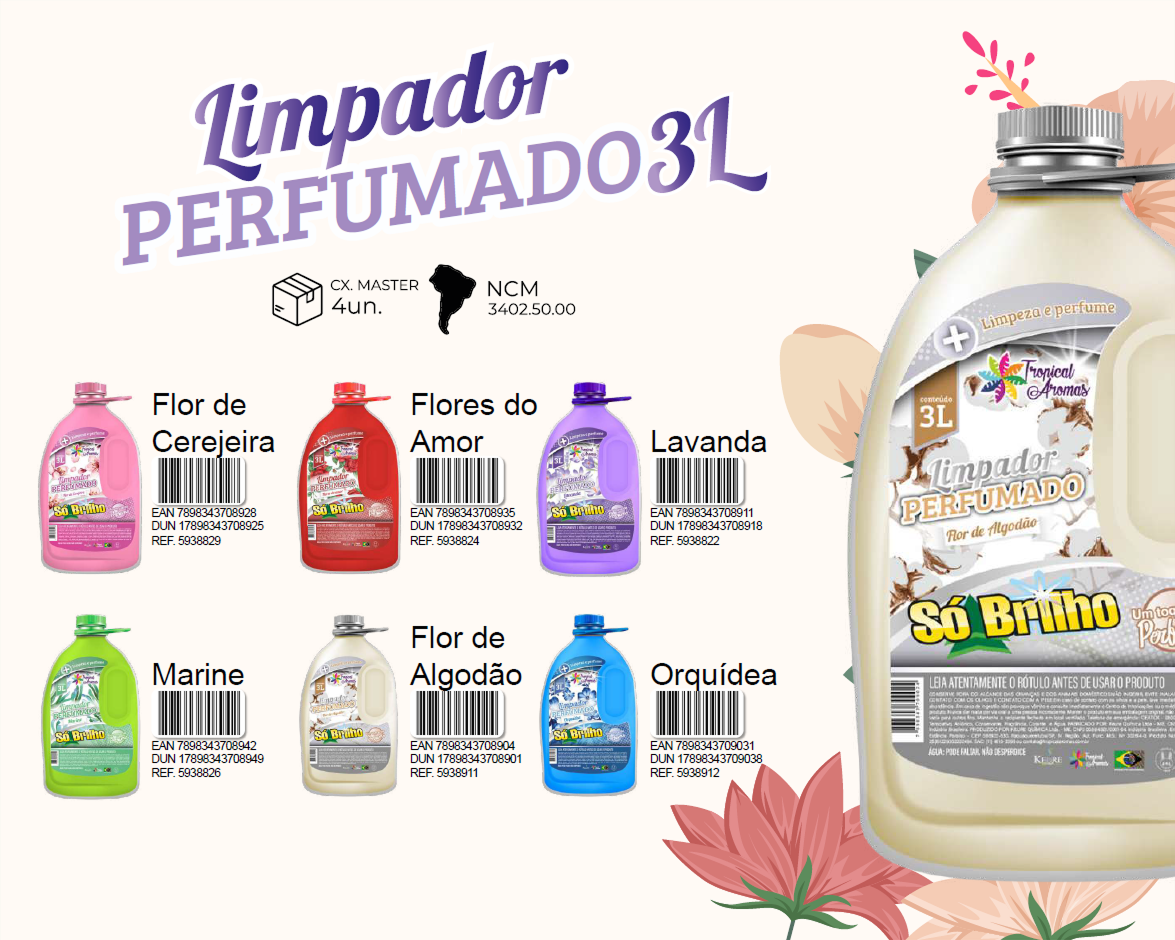 SÓ BRILHO - Página 5.png