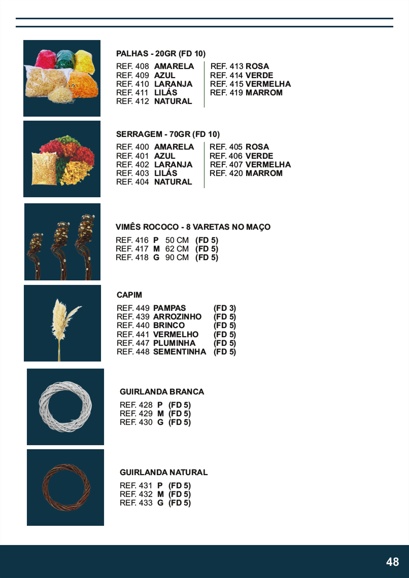 TERRA BRASIL - Página 48.png