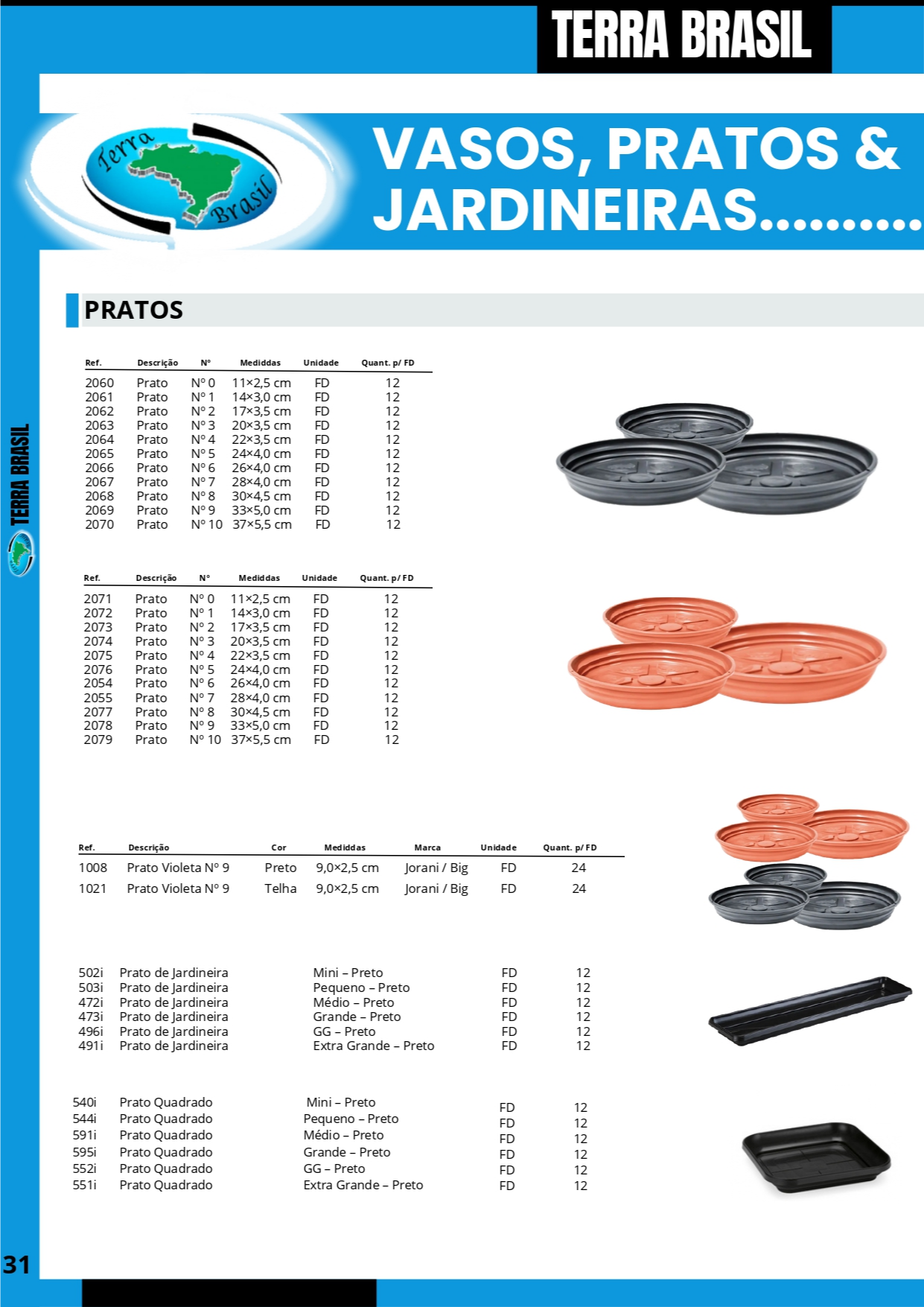 TERRA BRASIL - PÁGINA 31.png