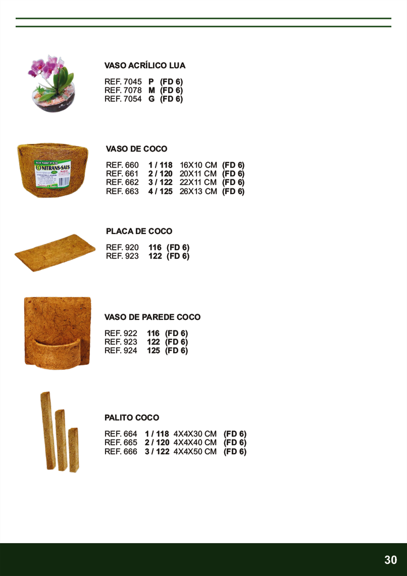 Terra Brasil - Página 30.png