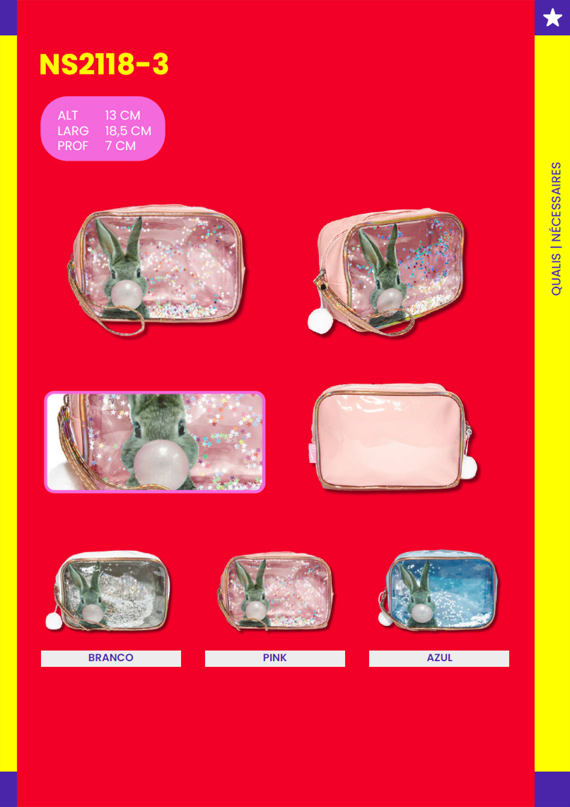 QUALIS - Página 4.png