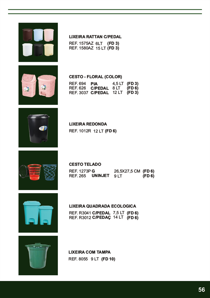 Terra Brasil - Página 56.png