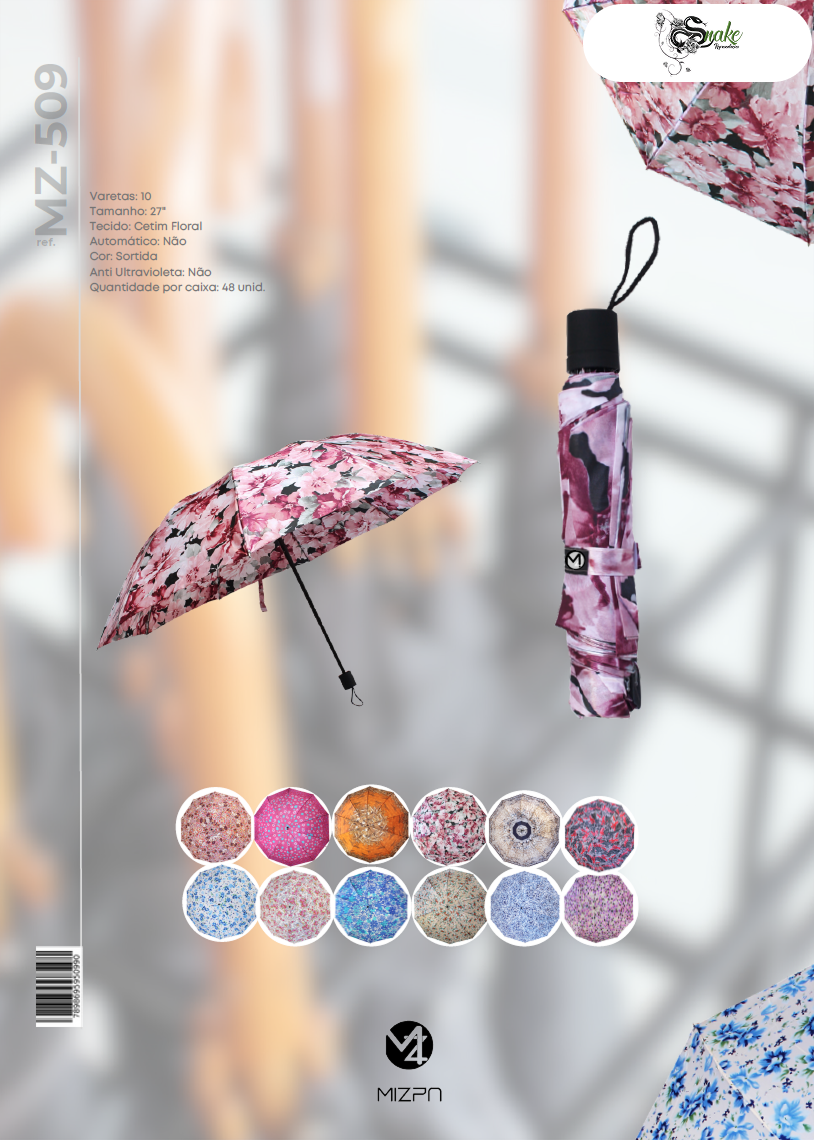 MIZPA - Página 39.png