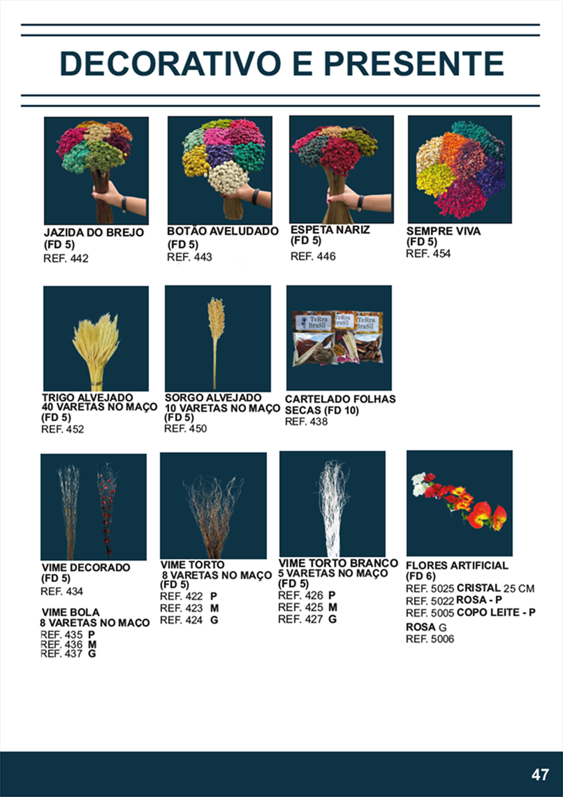 Terra Brasil - Página 47.png