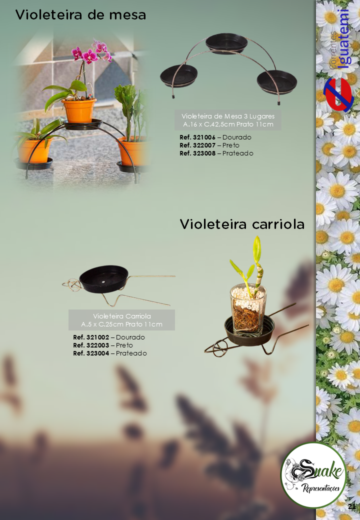 Slide21.PNG