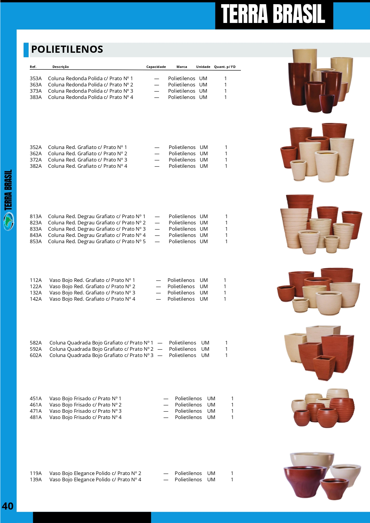 TERRA BRASIL - PÁGINA 40.png