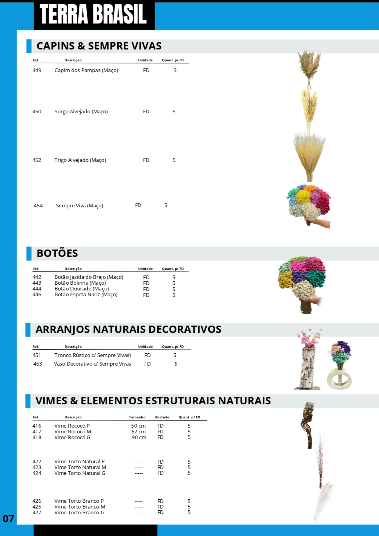 TERRA BRASIL - PÁGINA 7.png