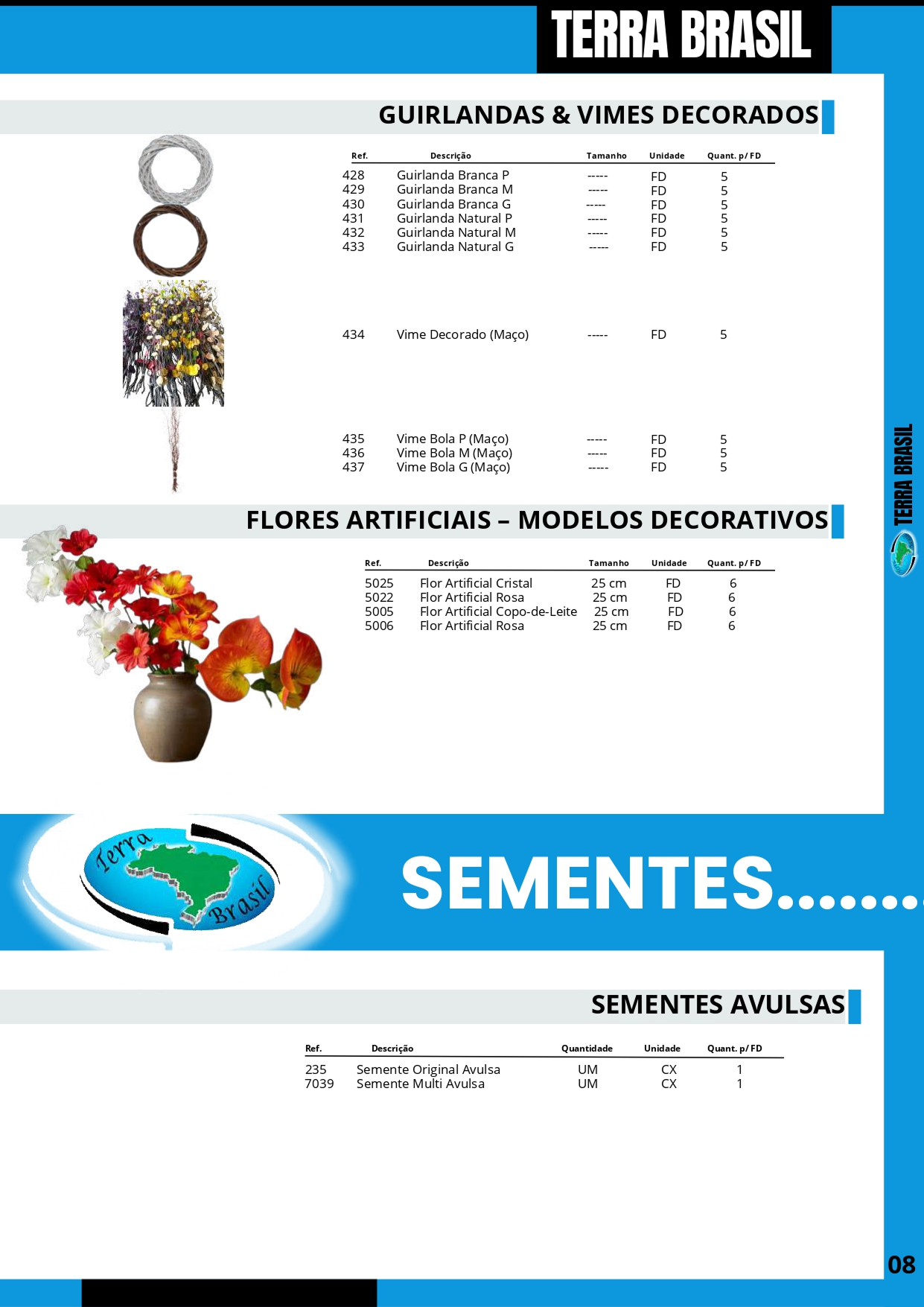 TERRA BRASIL - Página 8.png