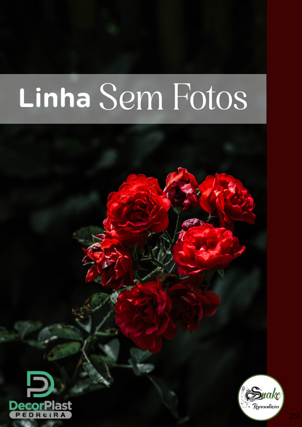 Decorplast - Página 29.png