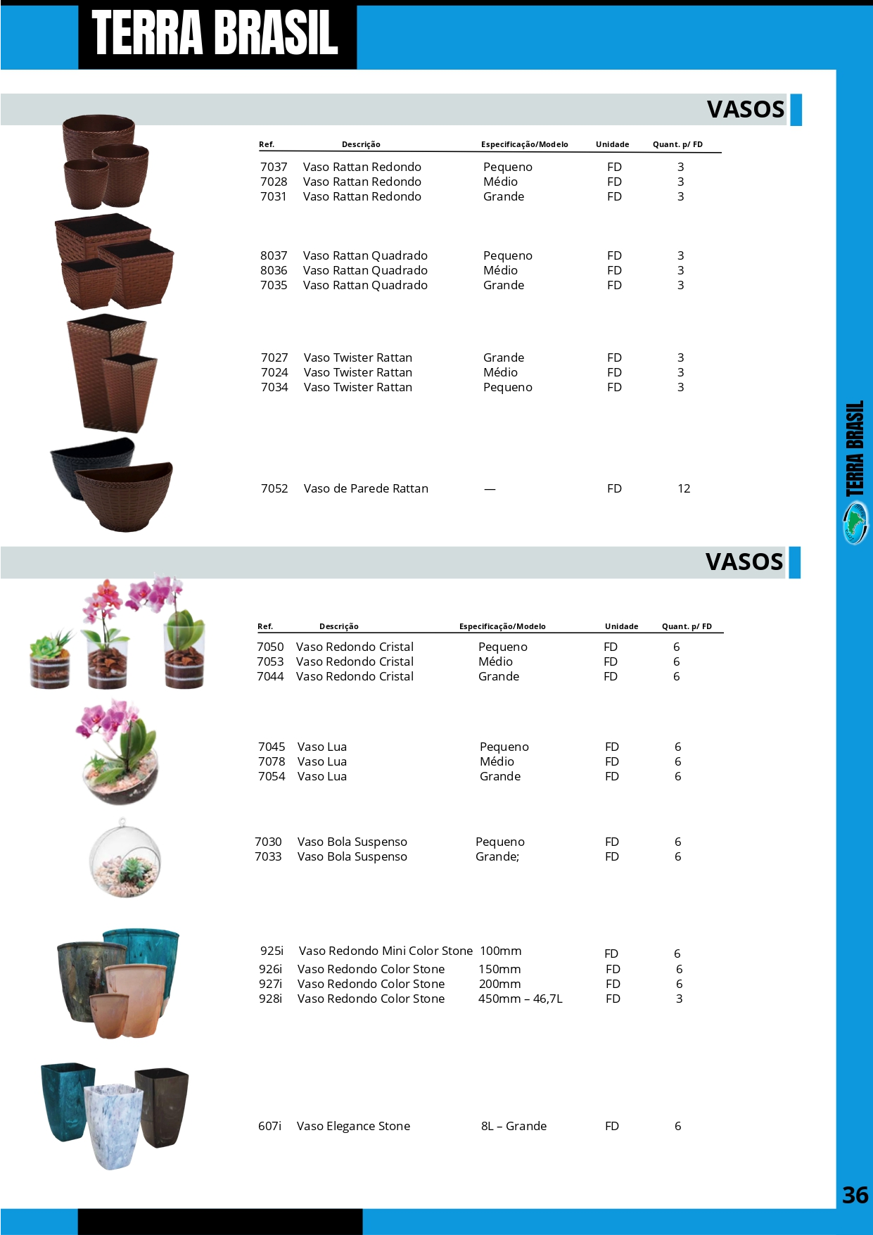 TERRA BRASIL - PÁGINA 36.png