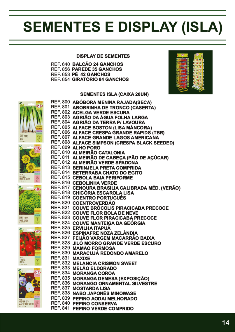 TERRA BRASIL - Página 14.png