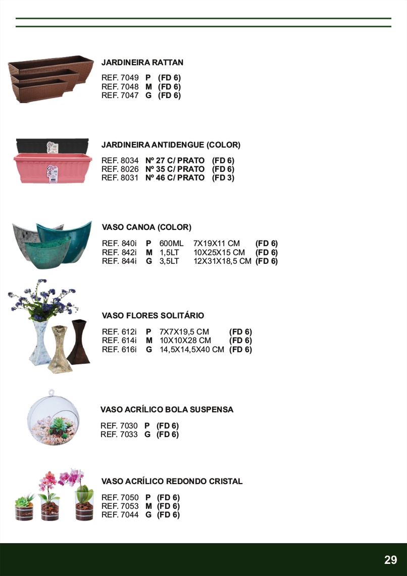 TERRA BRASIL - Página 29.png