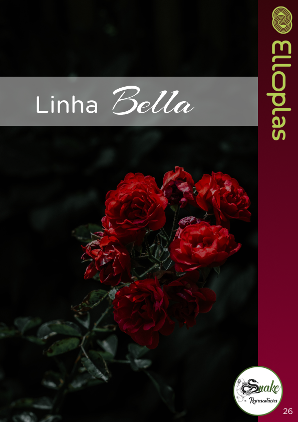 Elloplas - Página 26.png