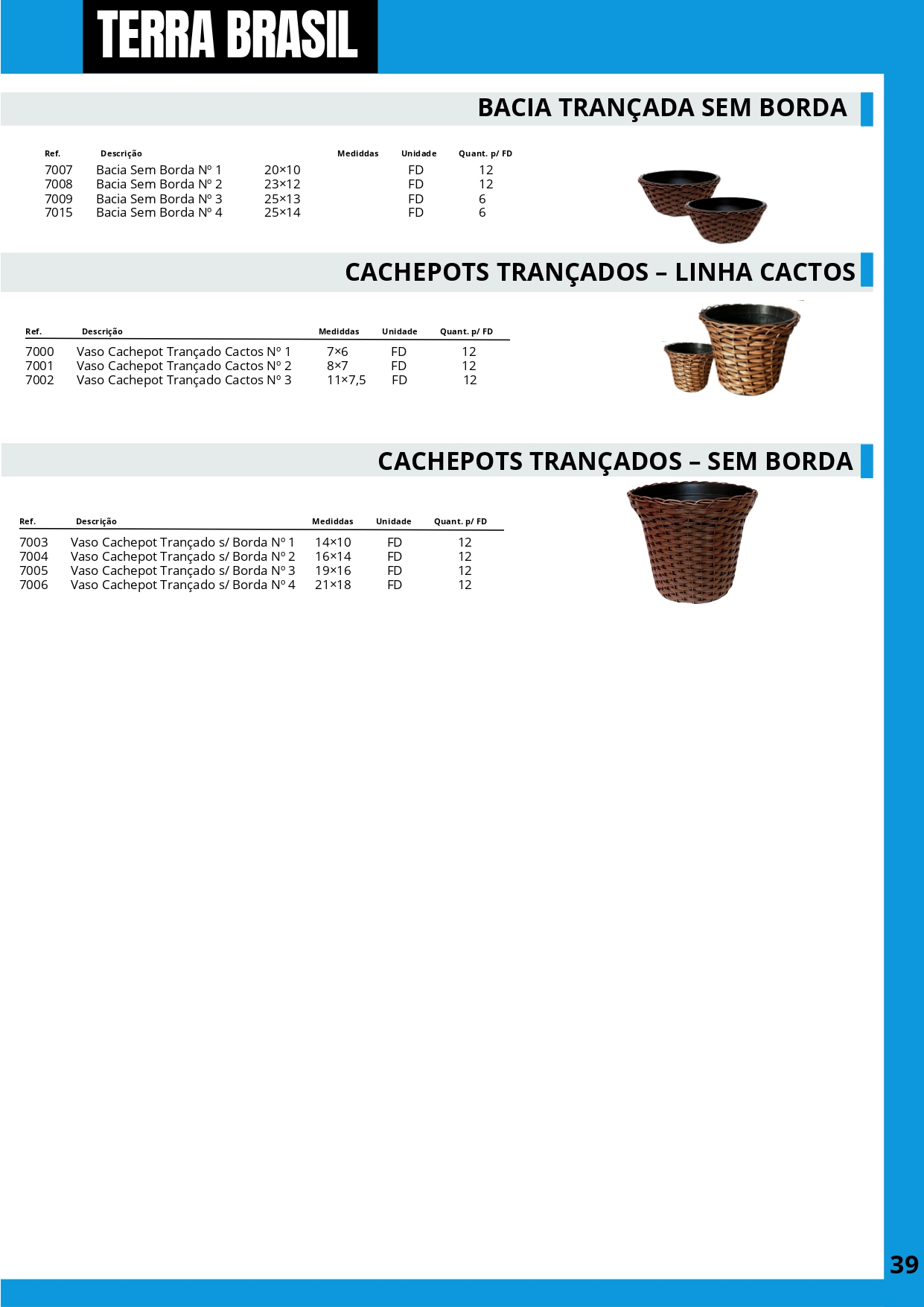 TERRA BRASIL - PÁGINA 39.png